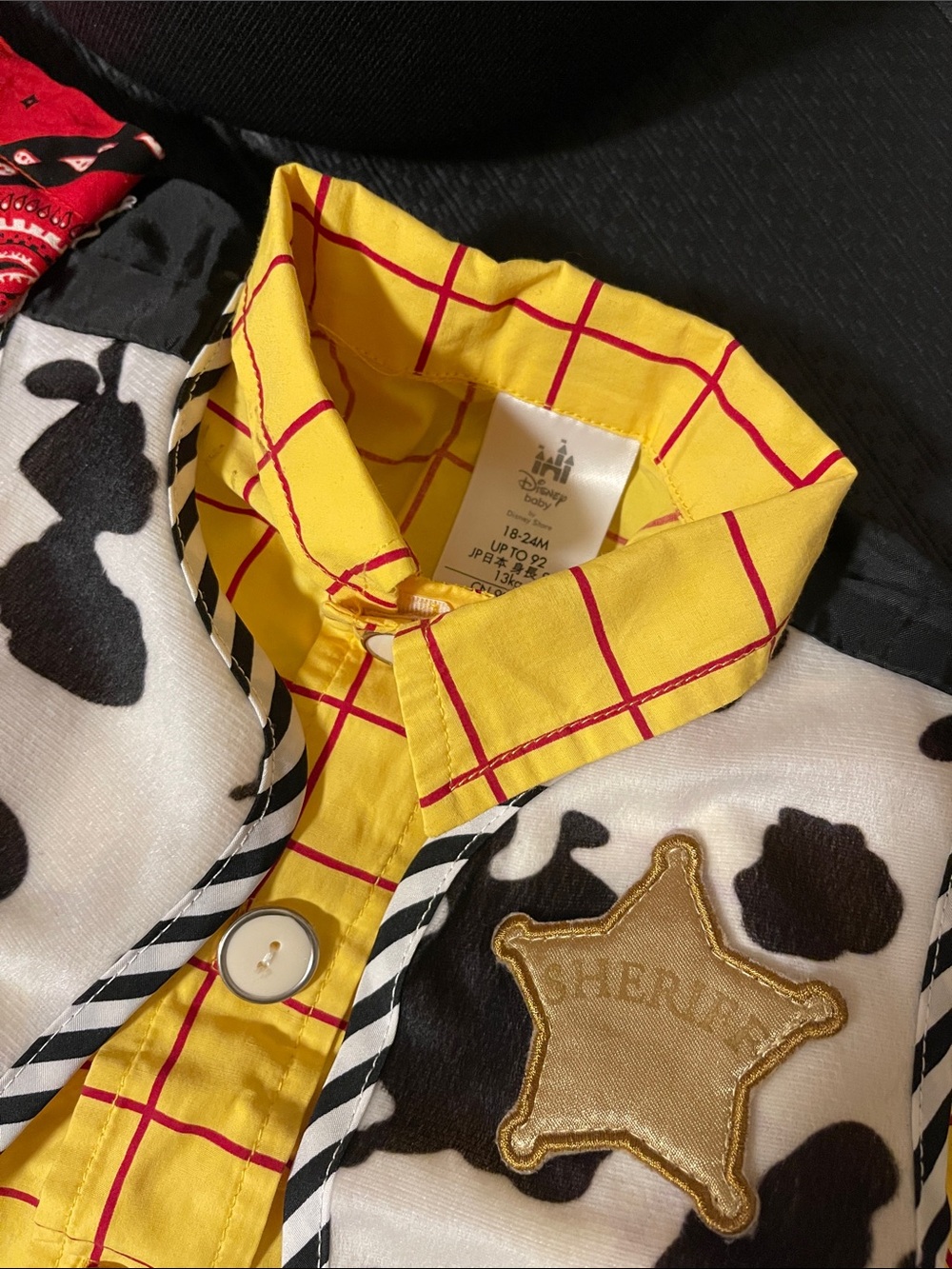 Toy Story- 2T Woody costume